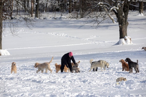 Boston Area Digs Out From Another Snowstorm