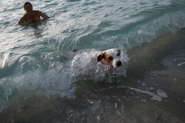 Dawn Finds Early Risers On Miami's Beaches