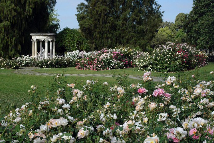 Huntington Library and Botanical Garden