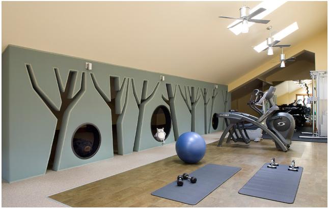 Cool-home-gym-design