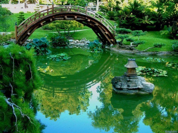 Japanese Garden