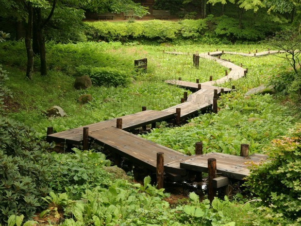 Japanese Garden