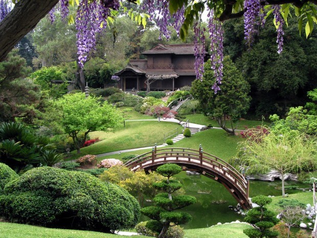 Japanese Garden