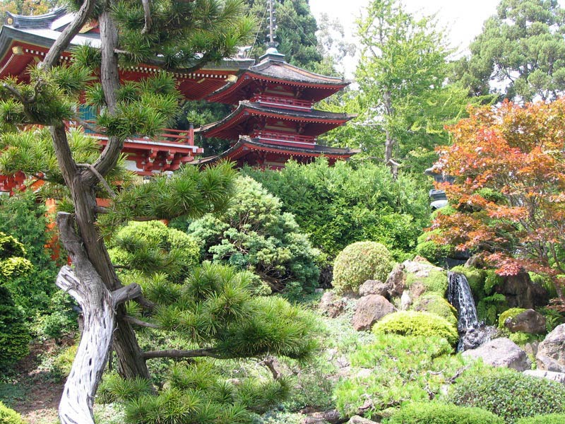 Japanese Garden