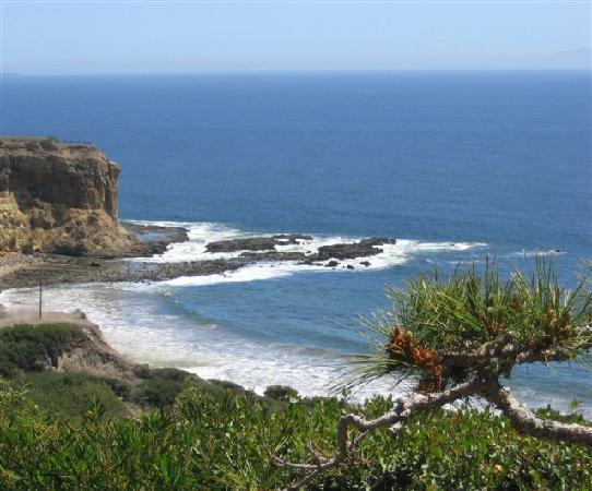 Abalone Cove Shoreline Park