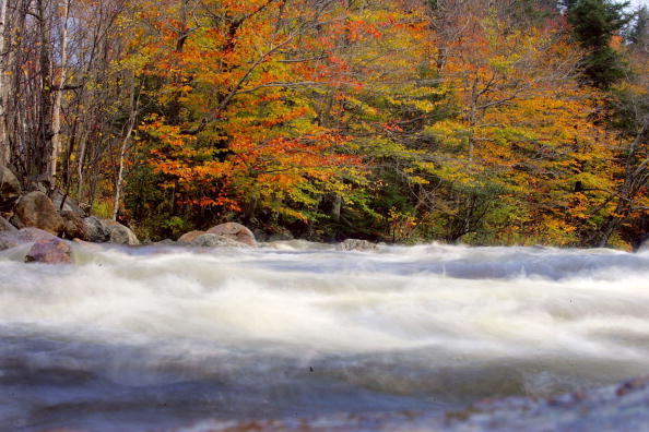 Fall Foliage