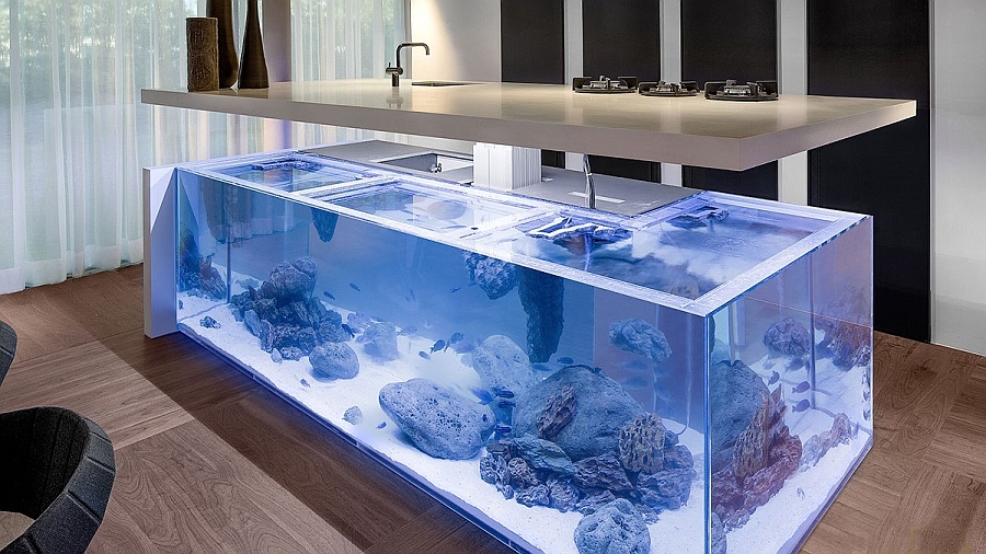 Amazing-Aquarium-Kitchen-Island-brings-ocean-to-the-kitchen