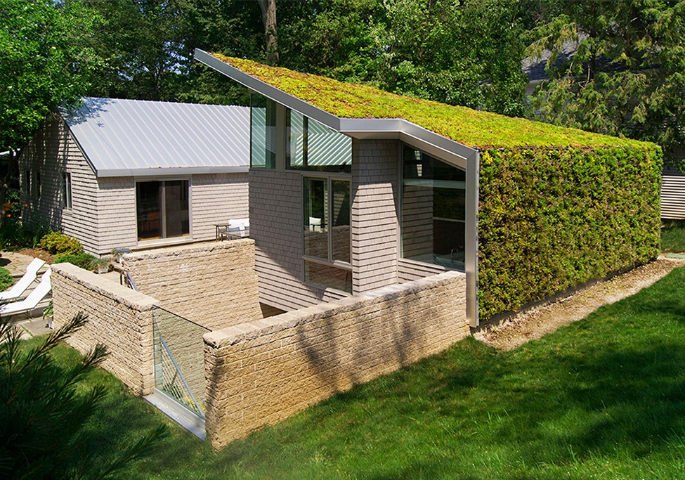 20 Amazing Homes with Grass Roof Designs