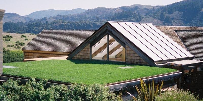 20 Amazing Homes with Grass Roof Designs