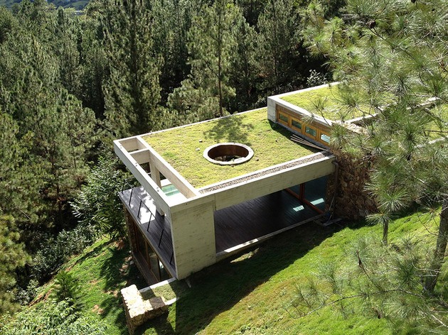 20 Amazing Homes with Grass Roof Designs