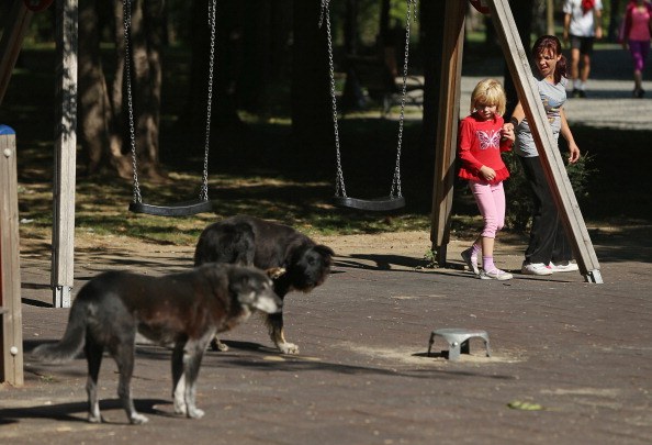 Every Day Life In Romania