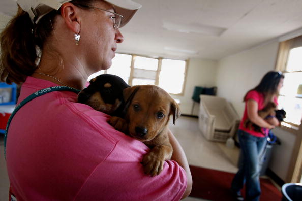 Coastal Texas Faces Heavy Damage After Hurricane Ike