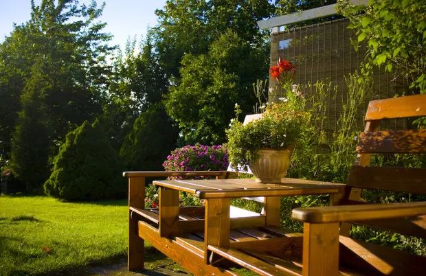 Spruce Up Your Backyard