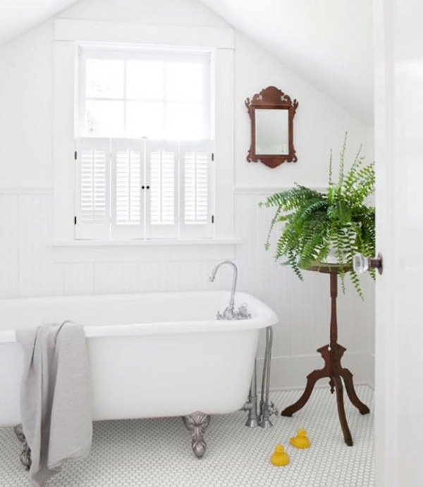 Small Bathroom With Plants