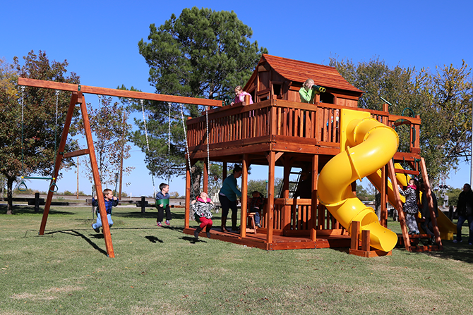 Backyard playscape