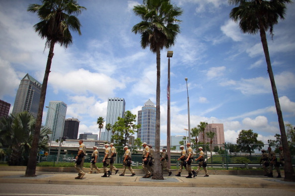 Beautiful palm trees in Tampa