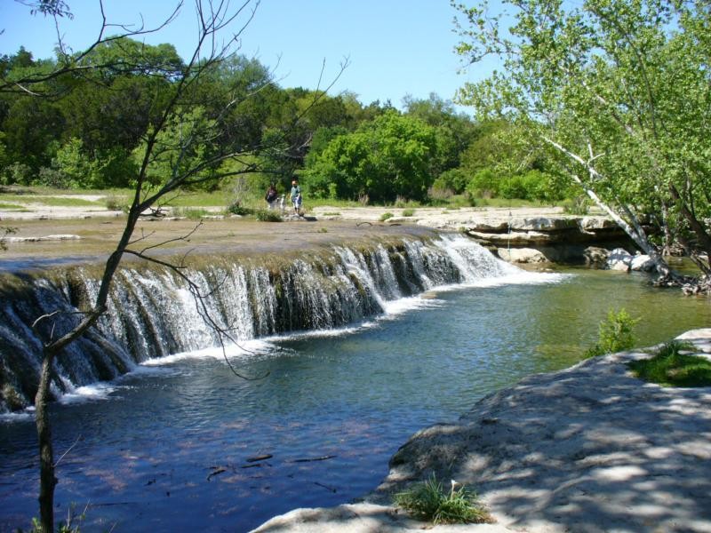 View of the water at the green belt in Austin, Texas