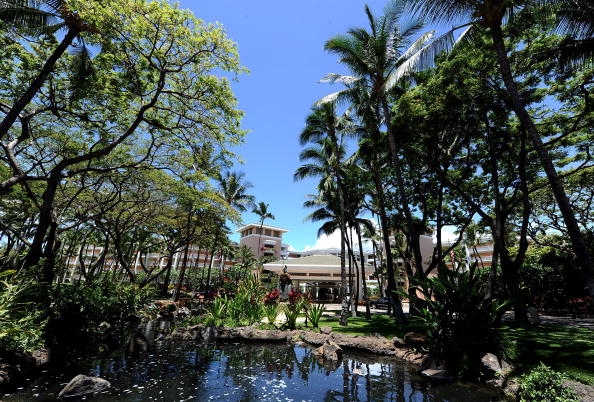 View from local film festival in Hawaii