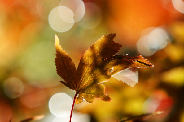 Early Autumn Scenes In The Cotswolds