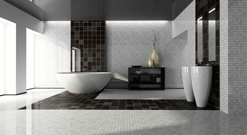 modern bathroom with black strip