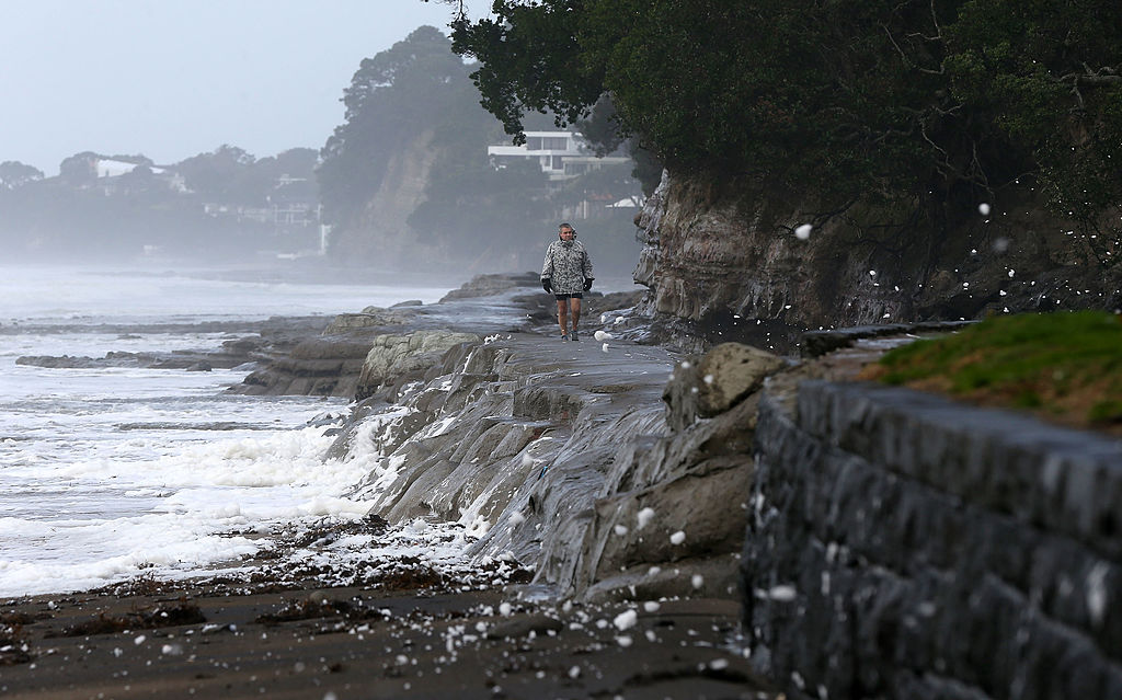 view of the coastline