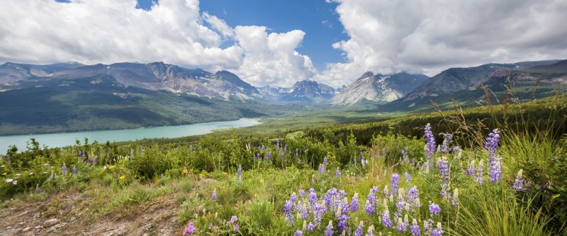 Ariel view of Montana