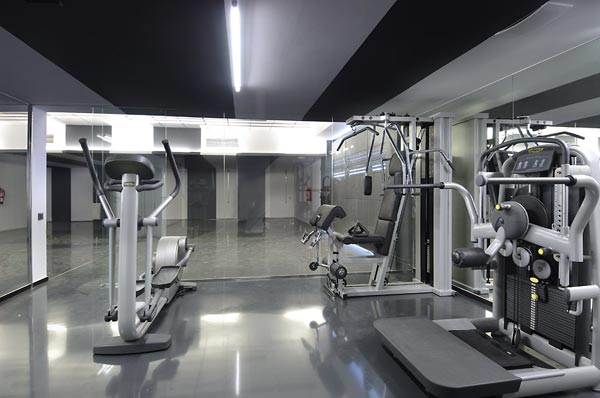 sleek gray home gym