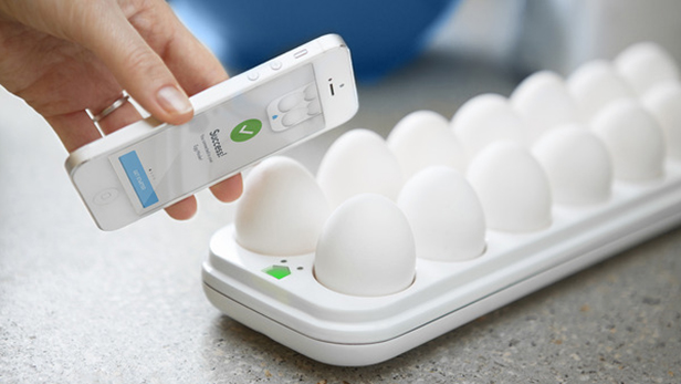 Smart home technology - Egg Minder 