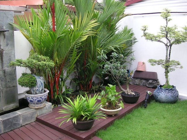 small-garden-decor-creative-small-backyard-garden-decorating-ideas-with-deck