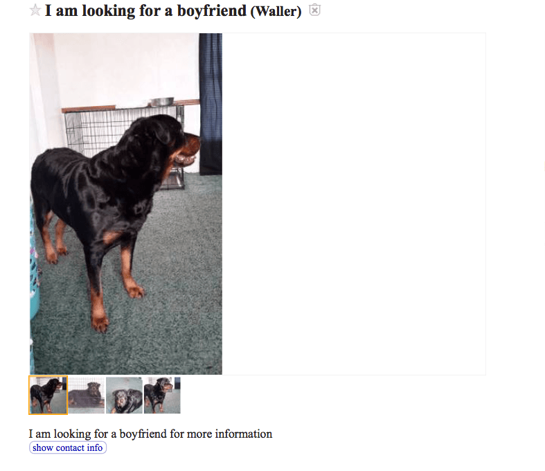 boyfriend ad on craiglist