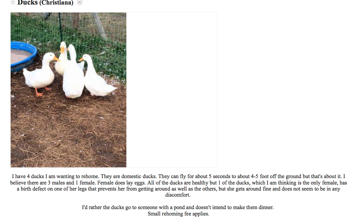 5 Of The Craziest Ads From Craigslist Nashville