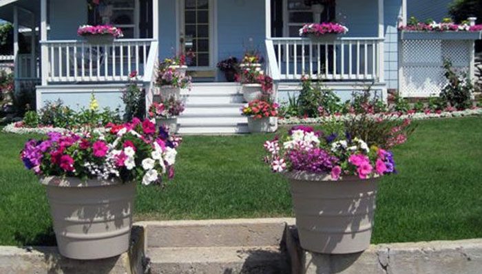 colorful front yard landscape