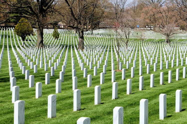 View of Arlington National Cemetery 