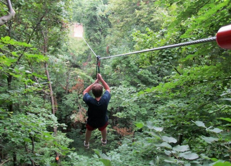 Go Ape Zip Line