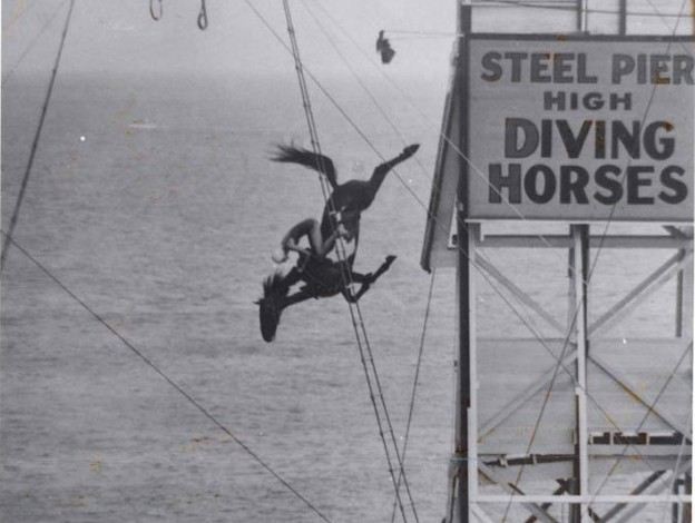 diving horses classic photo