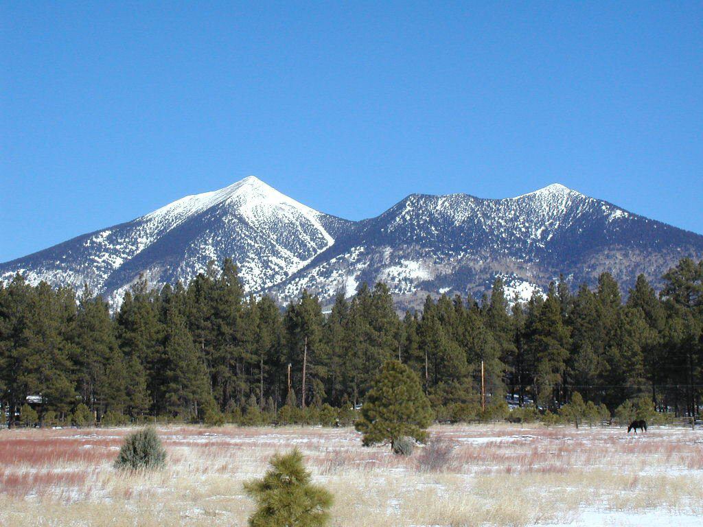 Five Perfect Places For Nature Lovers In Flagstaff Arizona