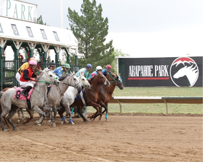 horses at arapahoe park