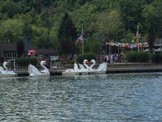 swan paddle boats