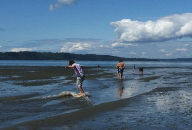 people in the water