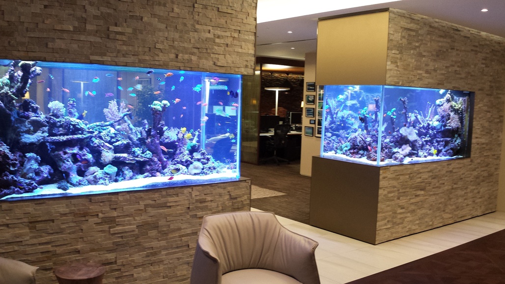 20 of the Coolest Wall Fish Tank Designs