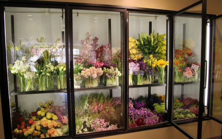 Flowers in Refrigerator