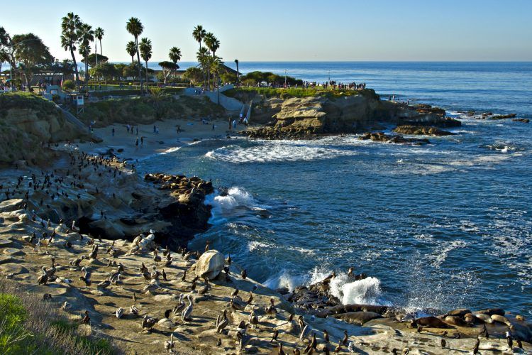 La Jolla Cove