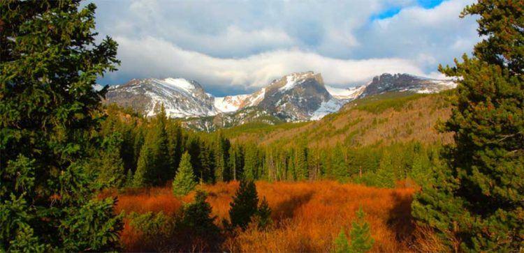 rocky mountain national park foliage