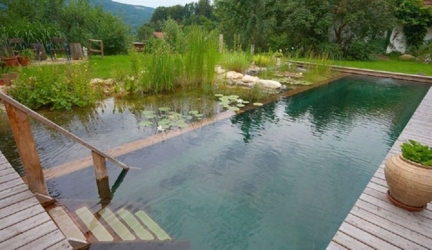 natural shipping container swimming pool