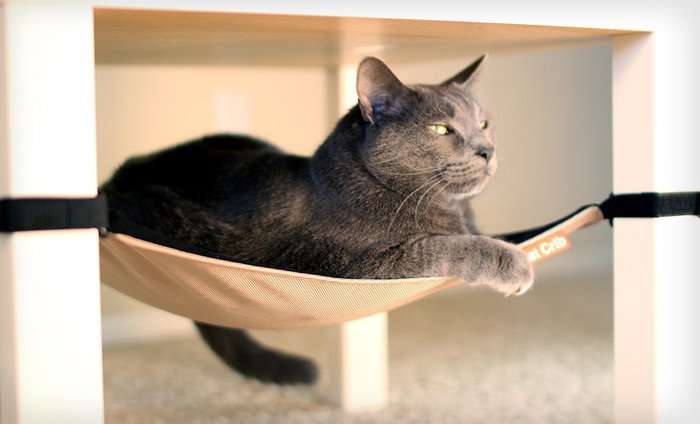 cat hammock design