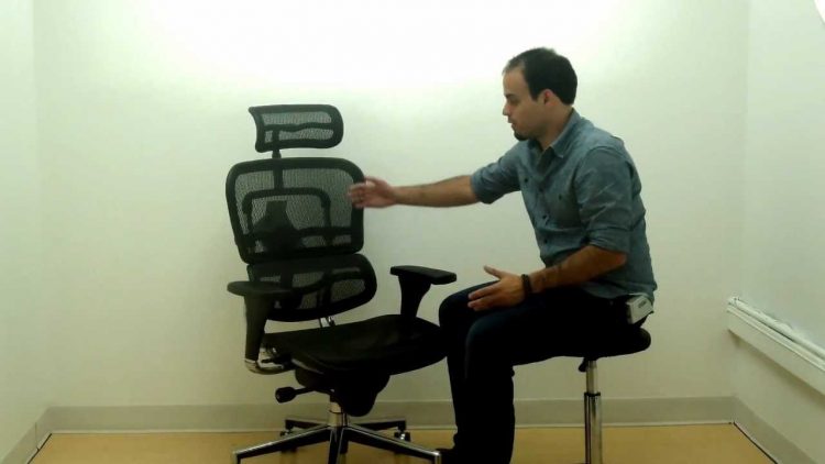 ErgoFlex Ergonomic Mesh Office Chair