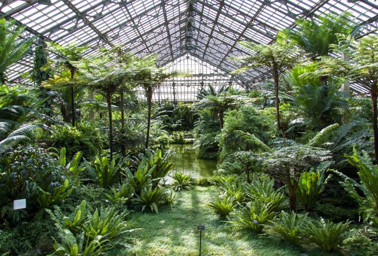 Garfield Park Conservatory