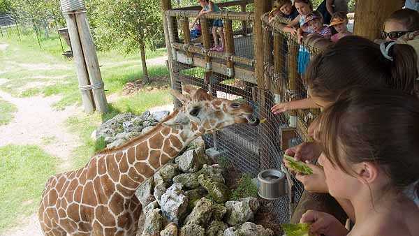 Jacksonville Zoo & Gardens