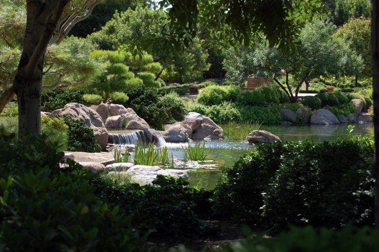 Japanese Friendship Garden