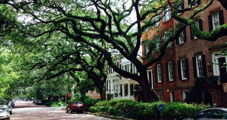 Jones Street